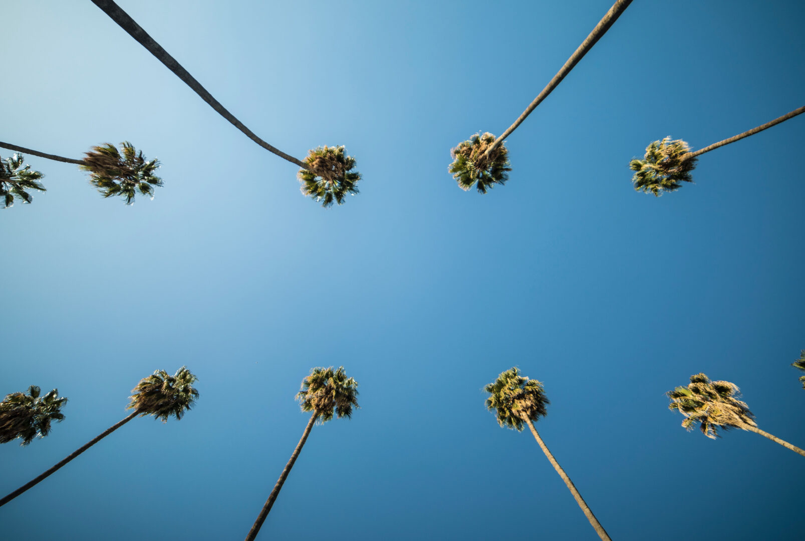 Los Angeles Fractional CFO cover v2