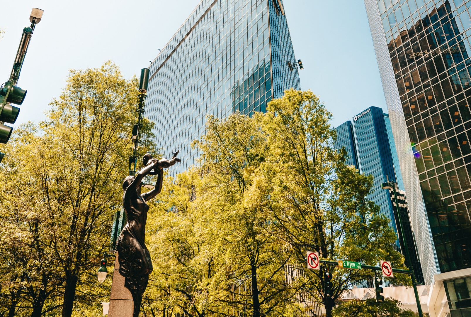 FRACTIONAL CFOs in CHARLOTTE, NC